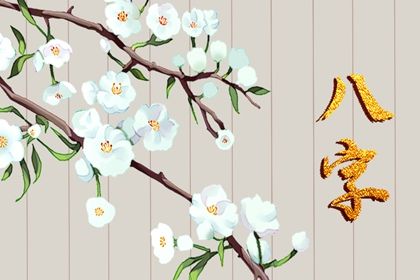 节气与排盘边界